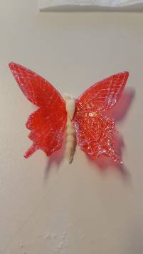Gelatine vlinder